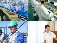 Đại sứ quán Nhật Bản: 4 cảnh báo với lao động khi làm việc với công ty môi giới